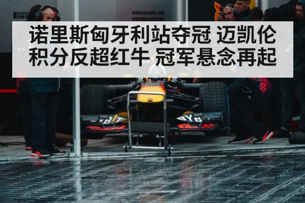 诺里斯匈牙利站夺冠 迈凯伦积分反超红牛 冠军悬念再起